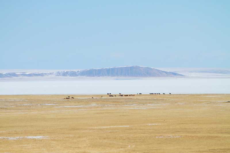 Вид с обо на Куку Хадан и лошадей на фоне озера Зун-Торей.